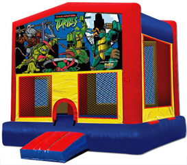 Ninja Turtle Jumper Bouncer Picture